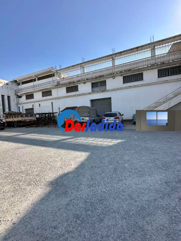 Location Hangar Blida