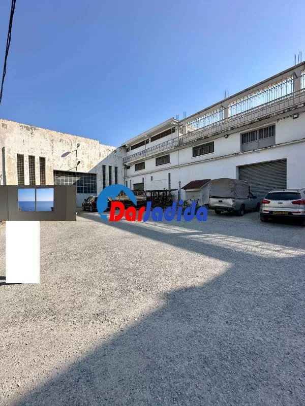 Location Hangar Blida