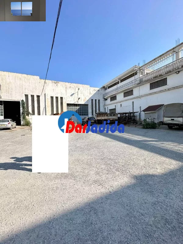 Location Hangar Blida