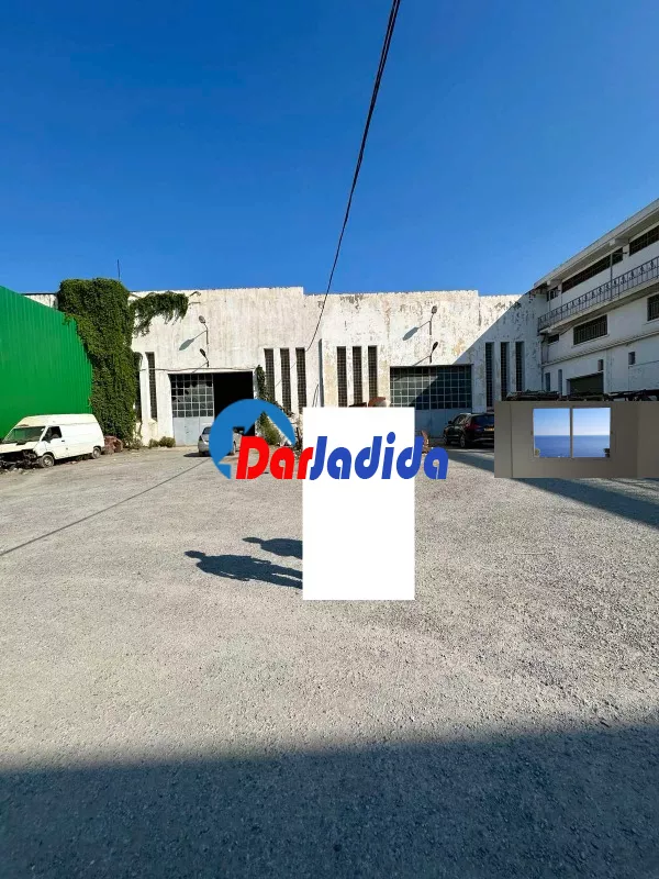 Location Hangar Blida