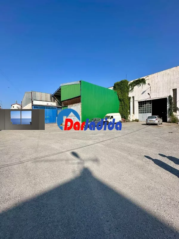 Location Hangar Blida