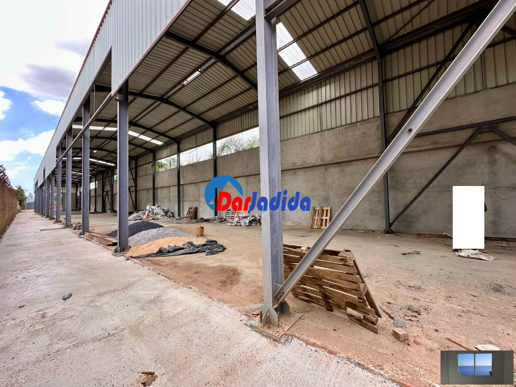 Location Hangar  Blida