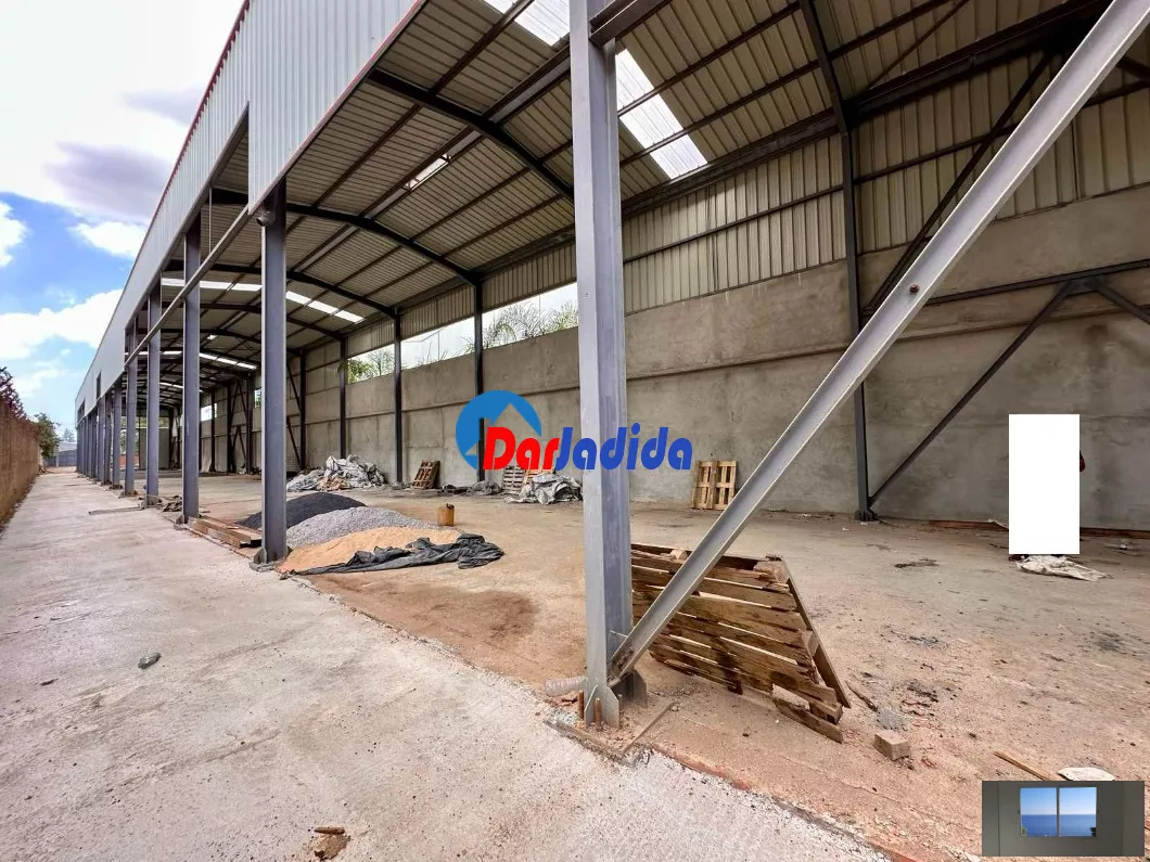 Location Hangar Blida