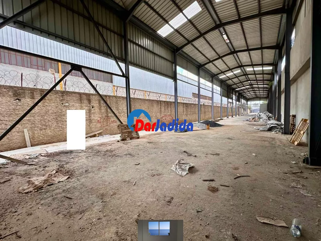 Location Hangar Blida