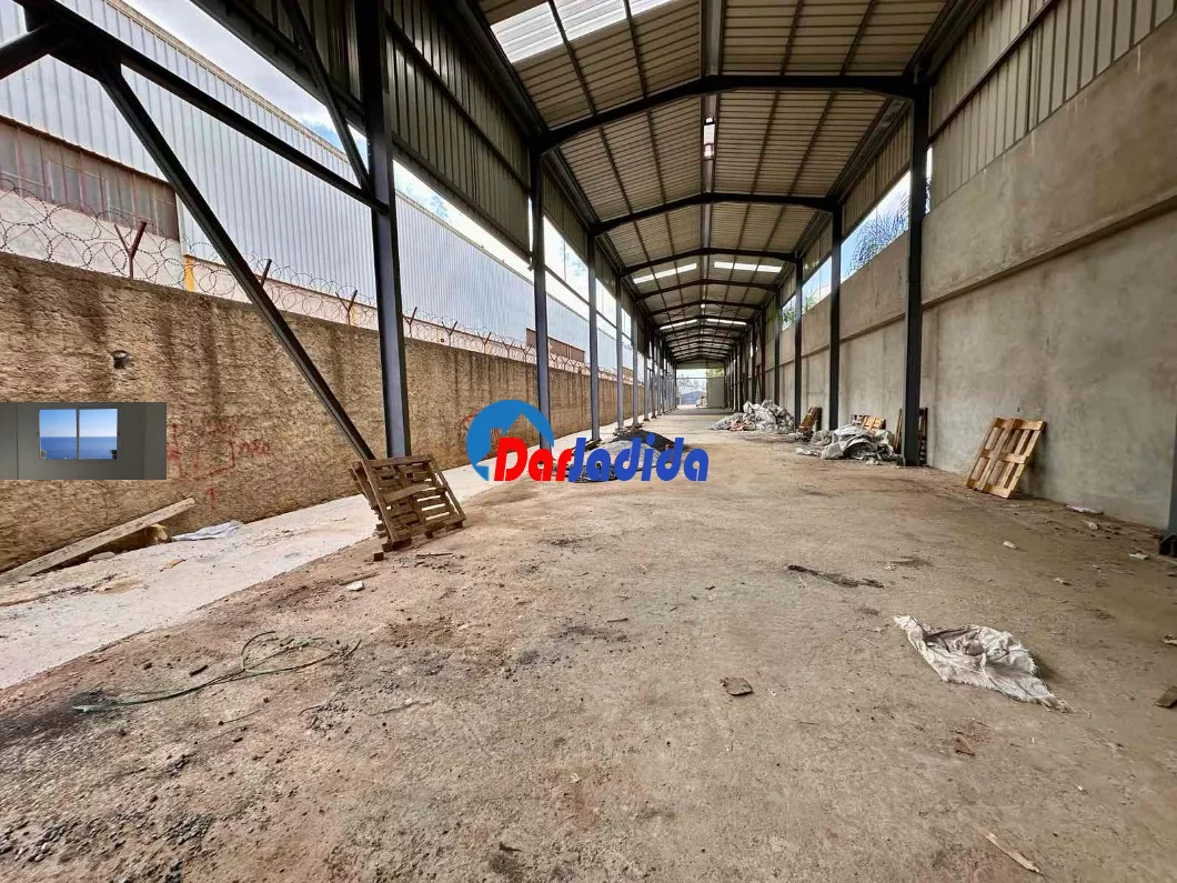 Location Hangar Blida