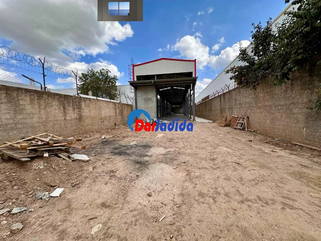 Location Hangar Blida