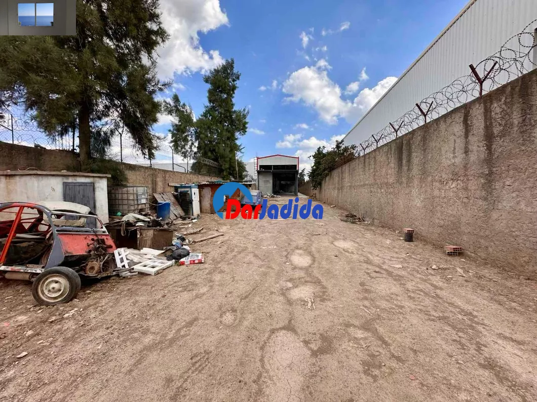 Location Hangar Blida