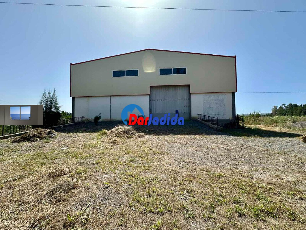 Location Hangar  Tipaza