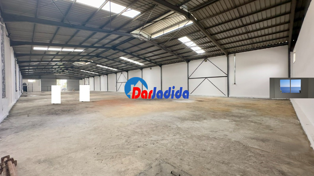 Location Hangar  Blida