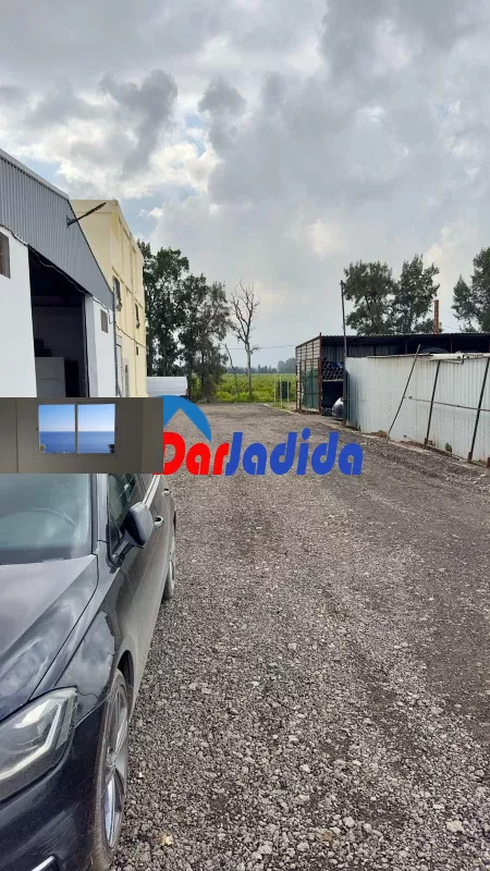 Location Hangar Blida