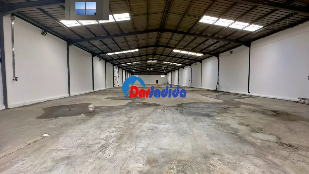 Location Hangar Blida