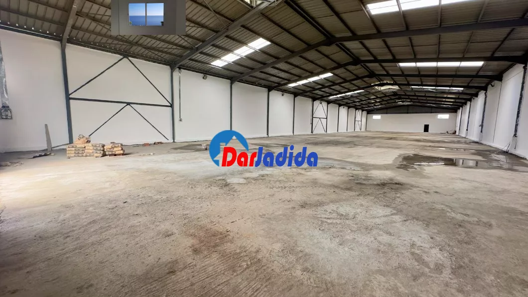 Location Hangar Blida