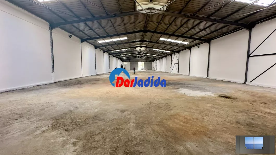 Location Hangar Blida