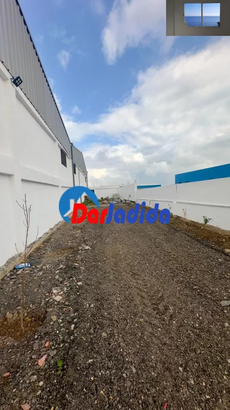 Location Hangar Blida