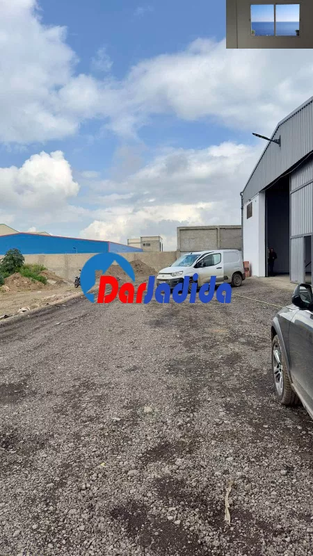 Location Hangar Blida