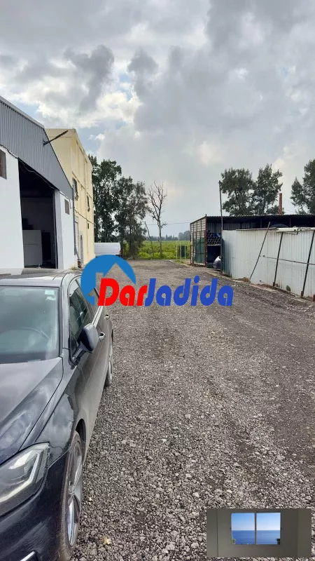 Location Hangar Blida