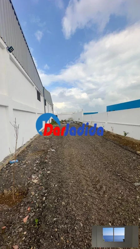 Location Hangar Blida