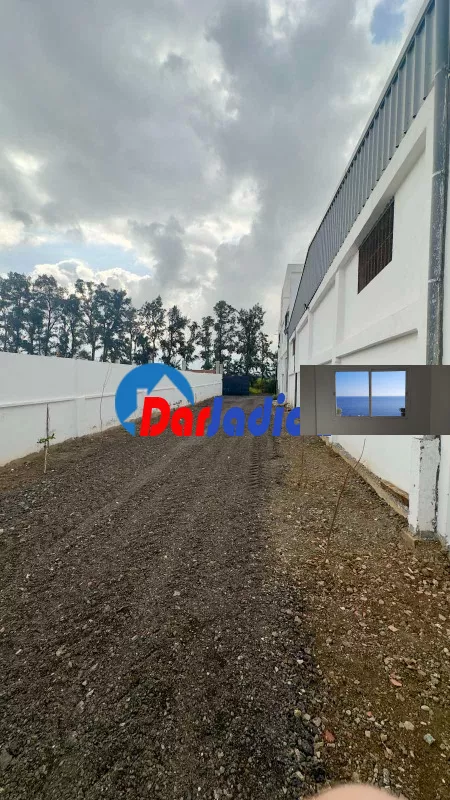 Location Hangar Blida