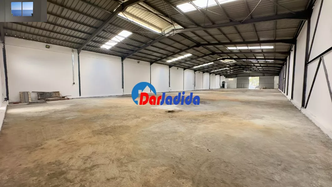 Location Hangar Blida