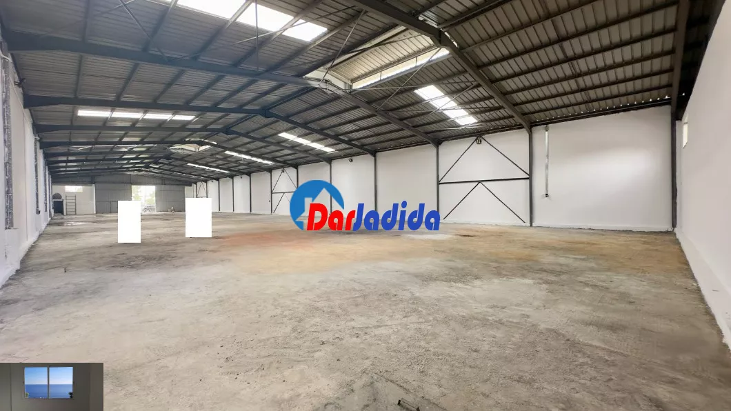 Location Hangar Blida