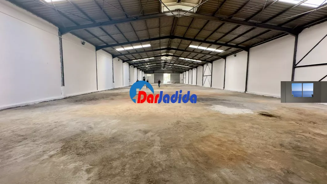 Location Hangar Blida