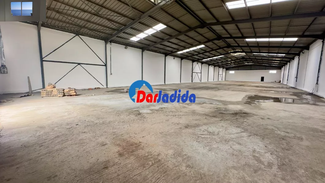 Location Hangar Blida