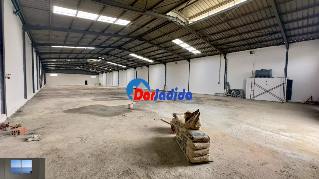 Location Hangar Blida