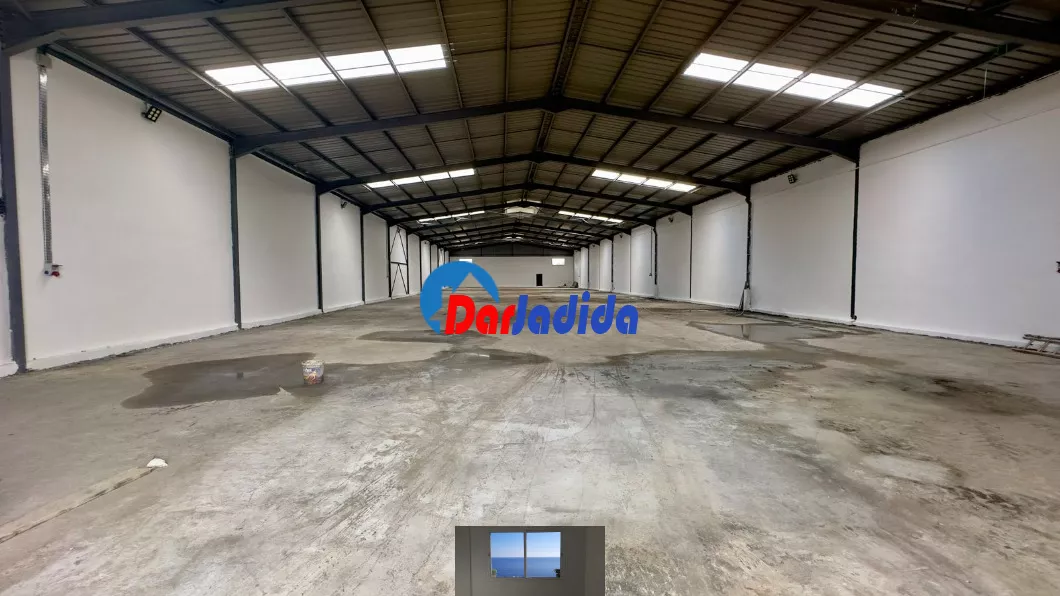 Location Hangar Blida