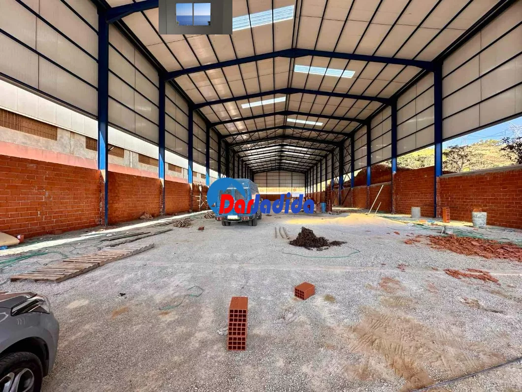 Location Hangar Tipaza