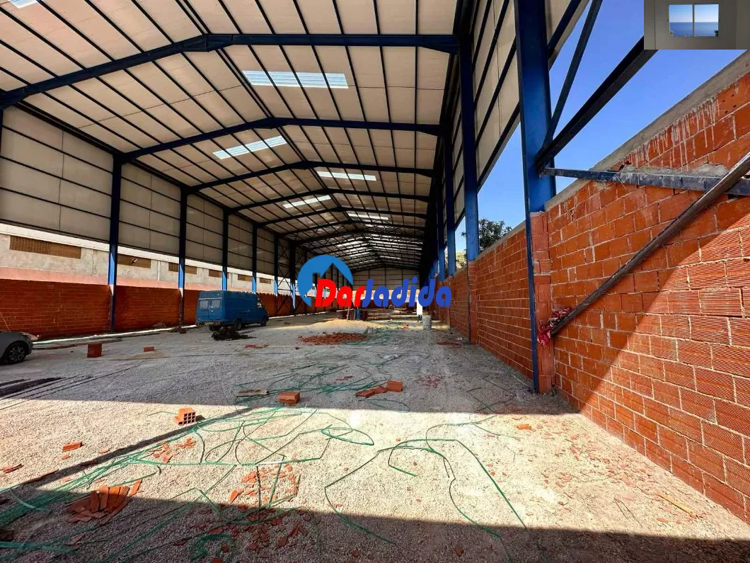 Location Hangar Tipaza