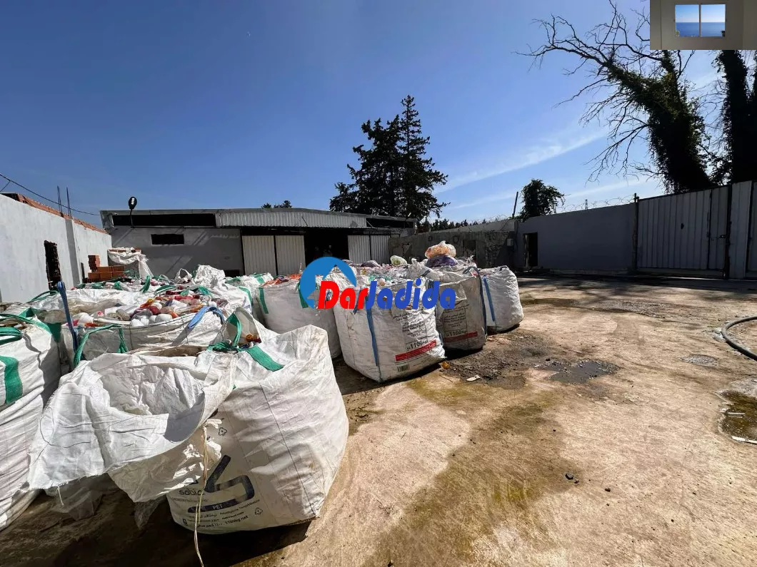 Location Hangar Blida