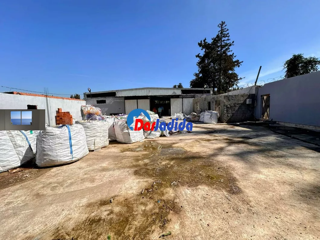 Location Hangar Blida