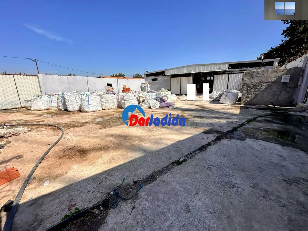 Location Hangar Blida