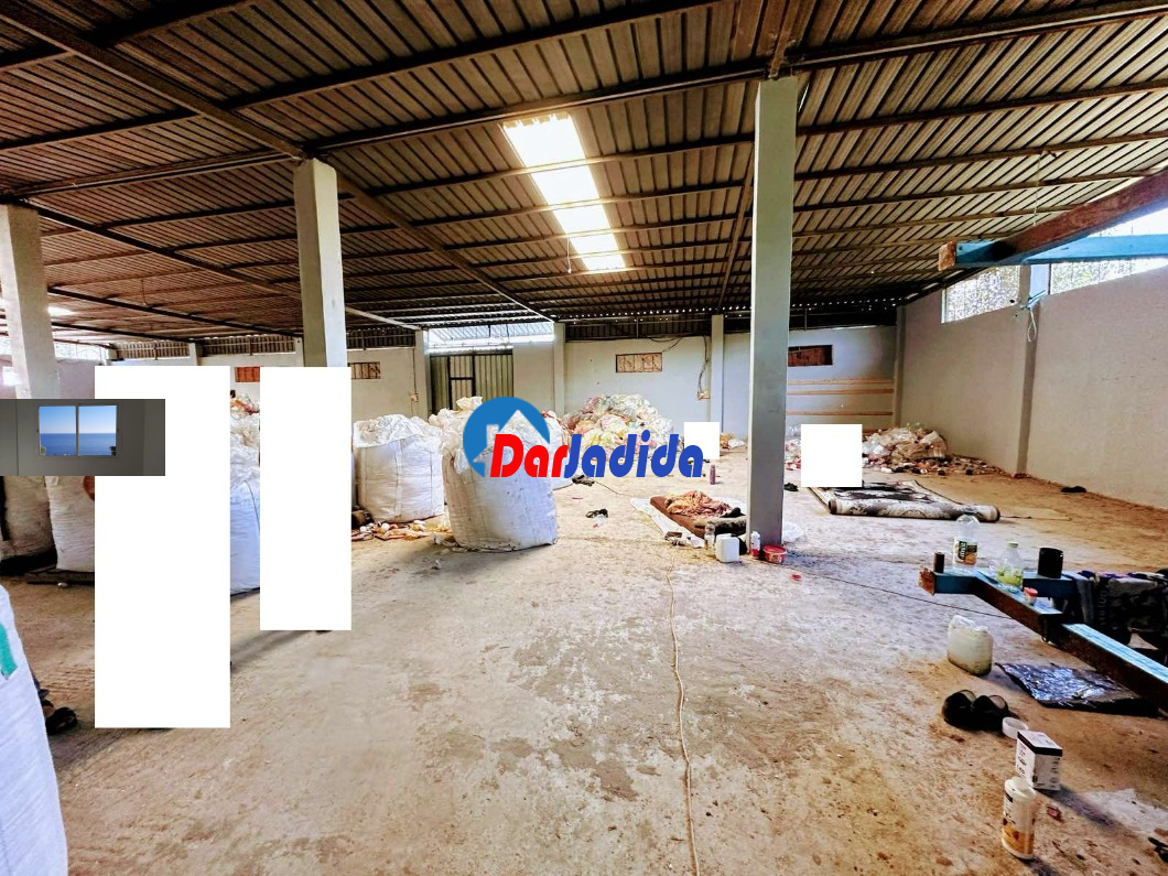 Location Hangar  Blida