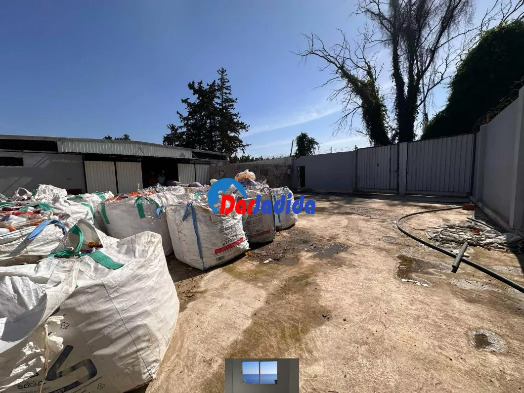 Location Hangar Blida