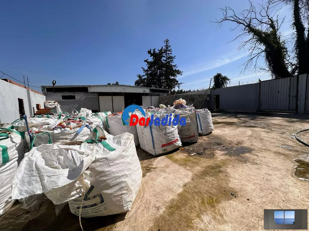 Location Hangar Blida