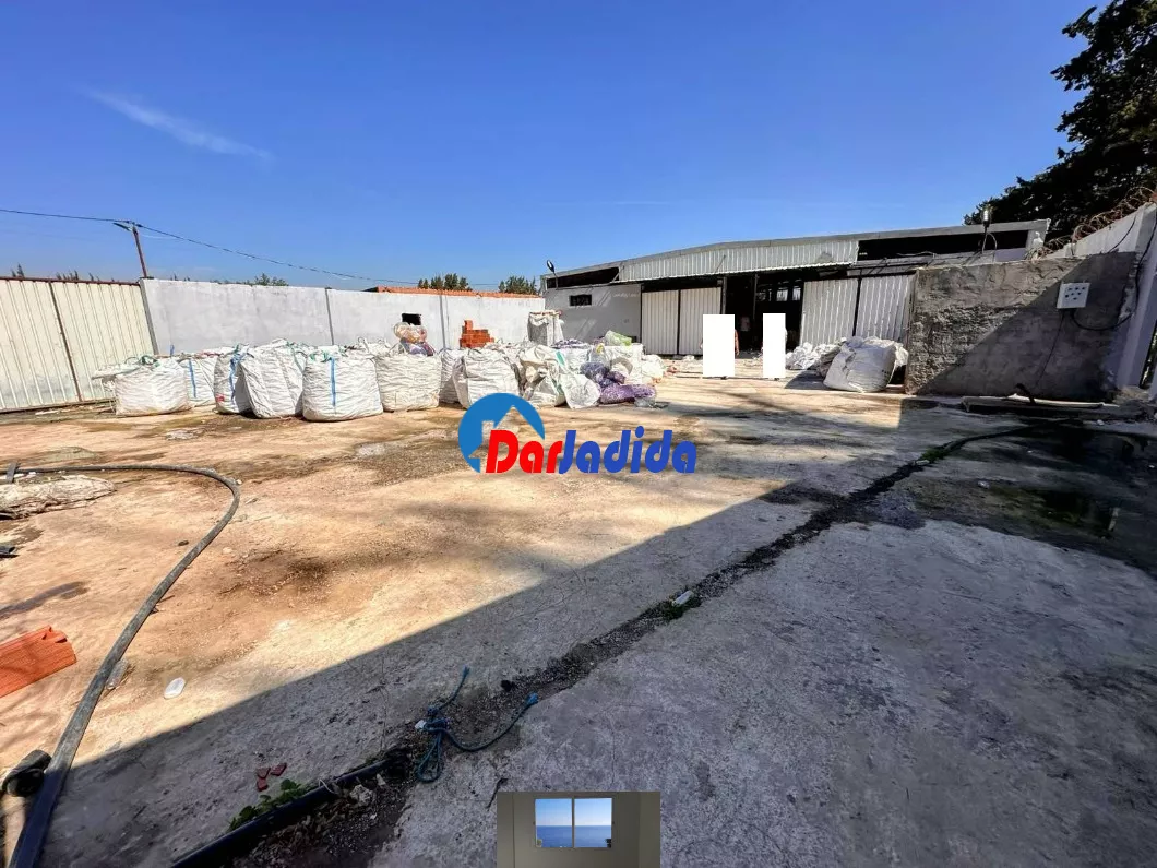 Location Hangar Blida