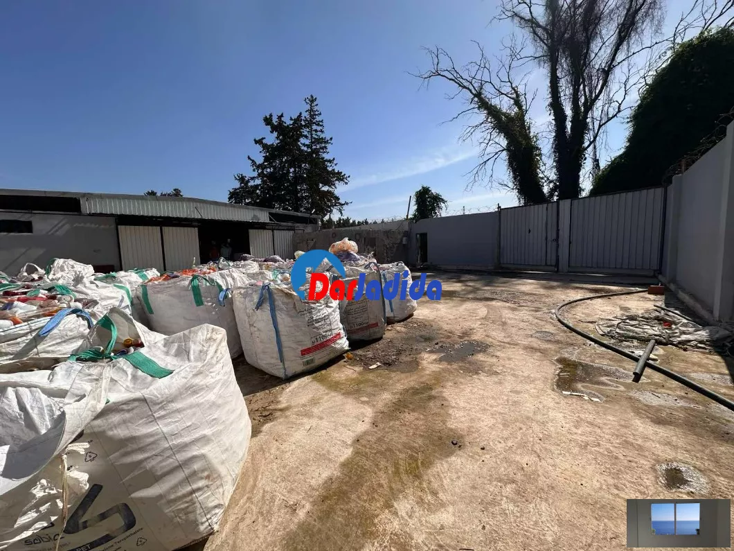 Location Hangar Blida