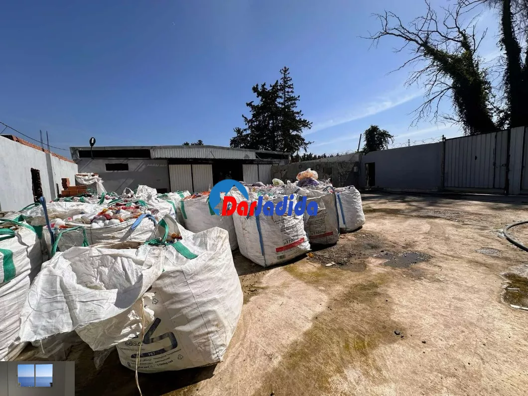 Location Hangar Blida