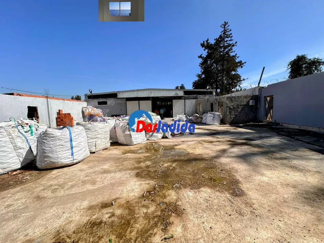 Location Hangar Blida