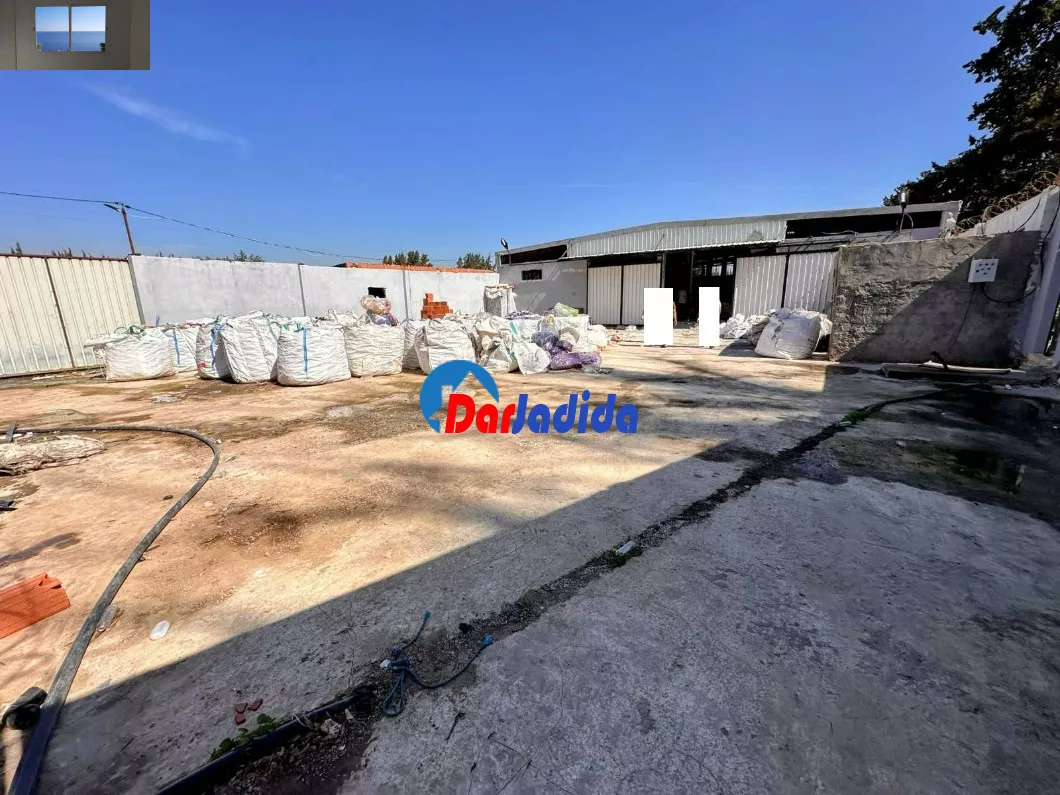 Location Hangar Blida