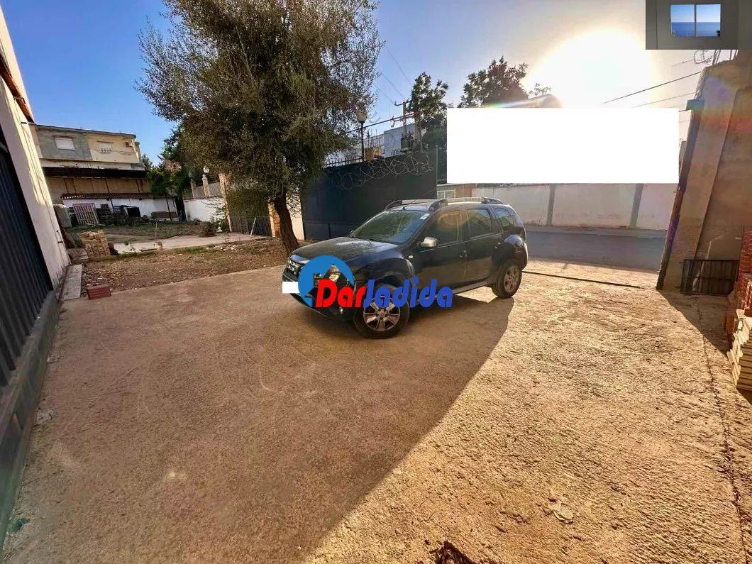 Location Hangar Blida