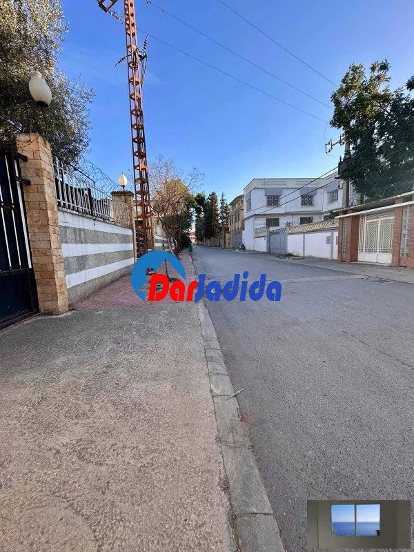 Location Hangar Blida