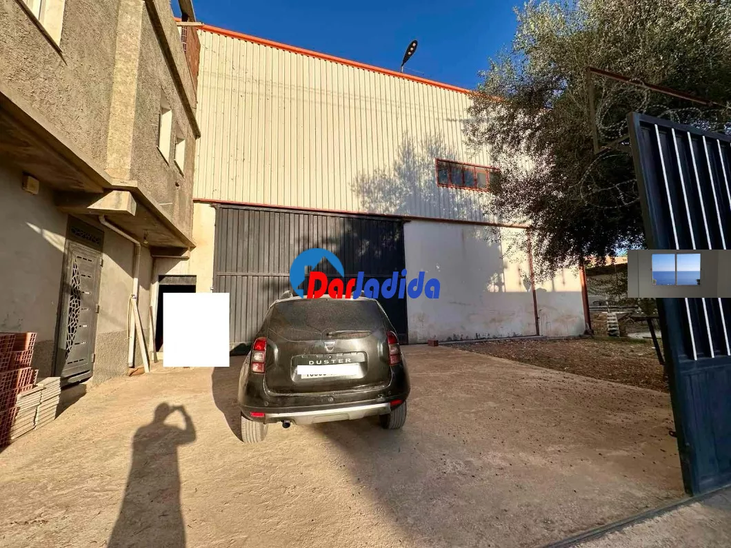 Location Hangar Blida