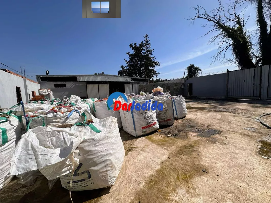 Location Hangar Blida