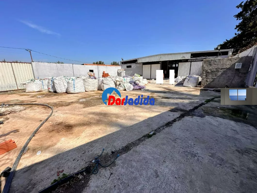 Location Hangar Blida