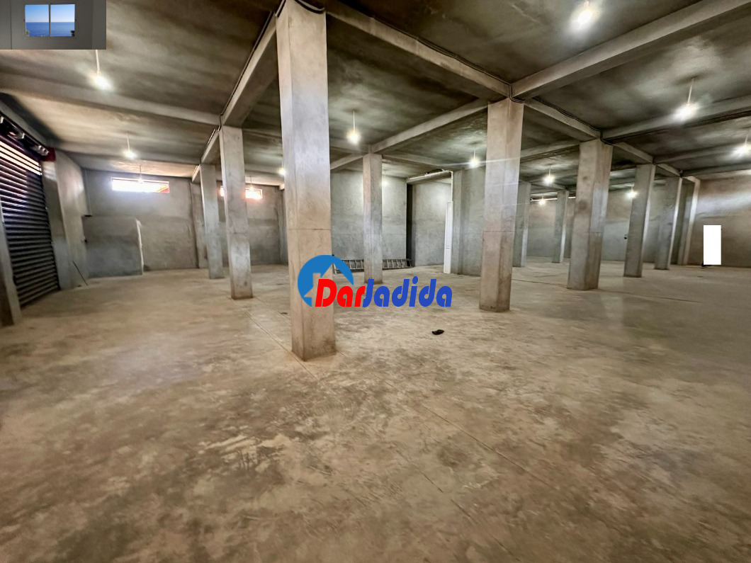 Location Local  Alger