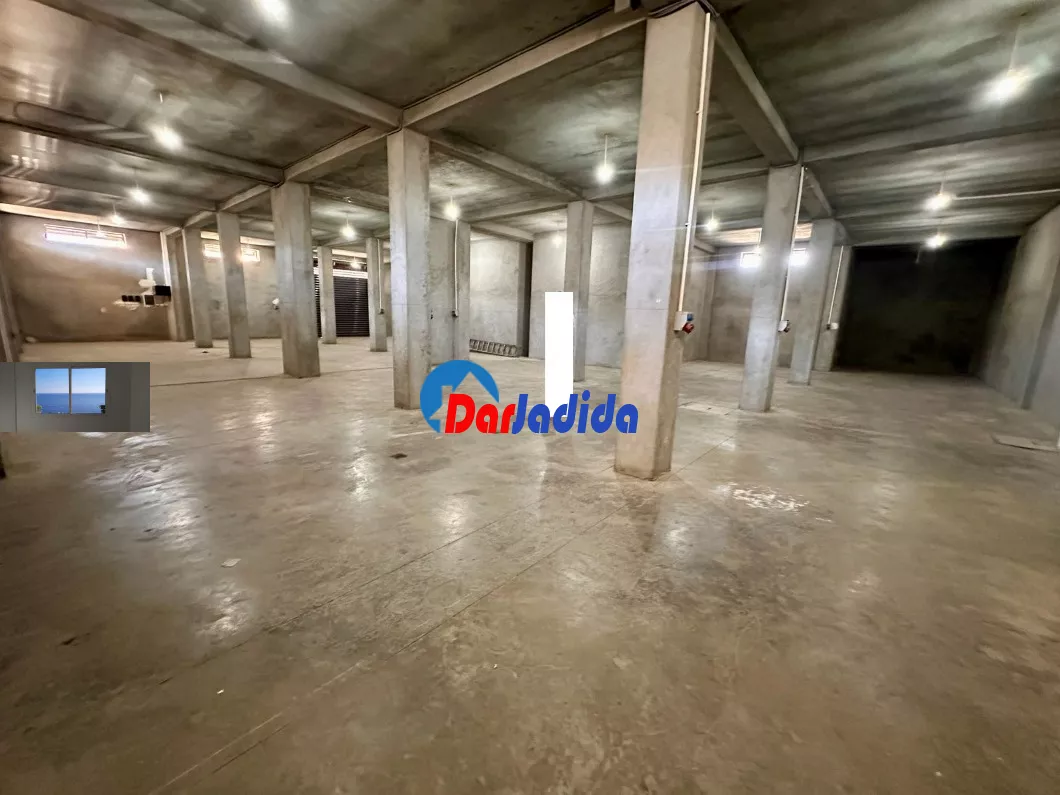 Location Local Alger