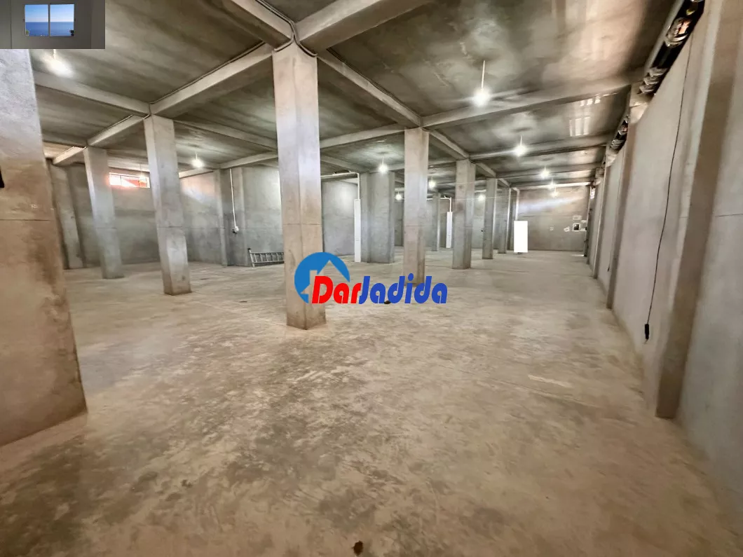 Location Local Alger