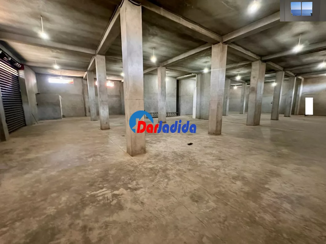 Location Local Alger